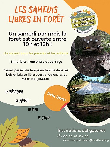 Les samedis libres en forêt