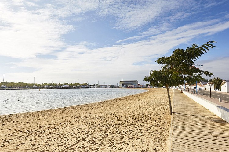 Plan d'eau de baignade