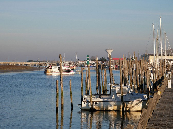 Port rive Aiguillonnaise