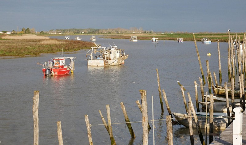 Port rive Aiguillonnaise