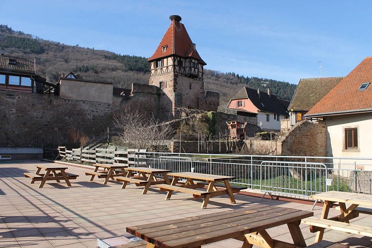 Centre de la Randonnée Marcel Rudloff (CCA)