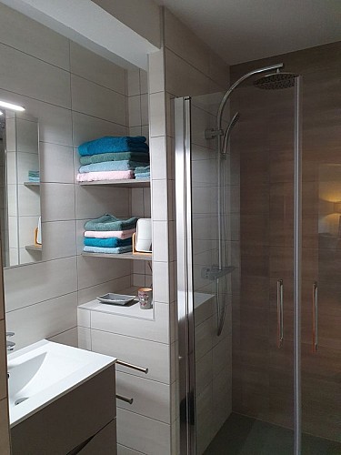 Salle de bains avec douche