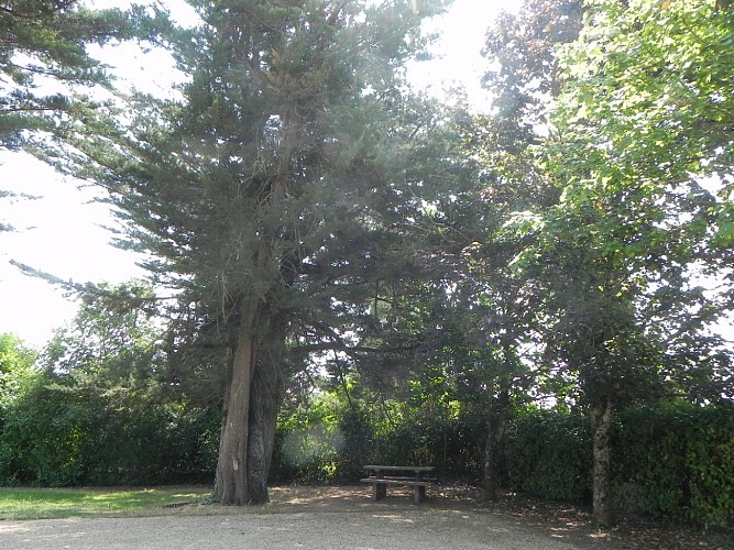 AIRE DE PIQUE-NIQUE- DU BOURG