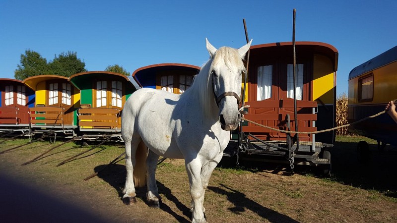 Les roulottes du Sud Vendée