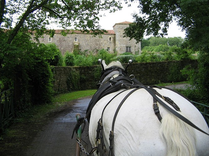 Les roulottes du Sud Vendée