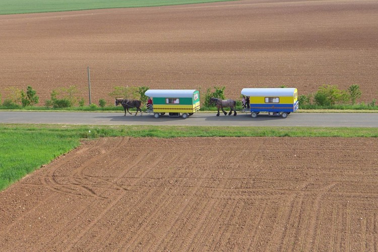 Les roulottes du Sud Vendée