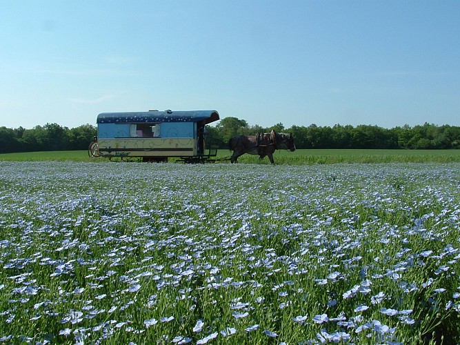 Les roulottes du Sud Vendée