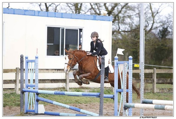 CENTRE EQUESTRE HARAS DES L.