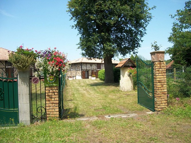 2026_cugnet_hirondelle (1) (Copier)