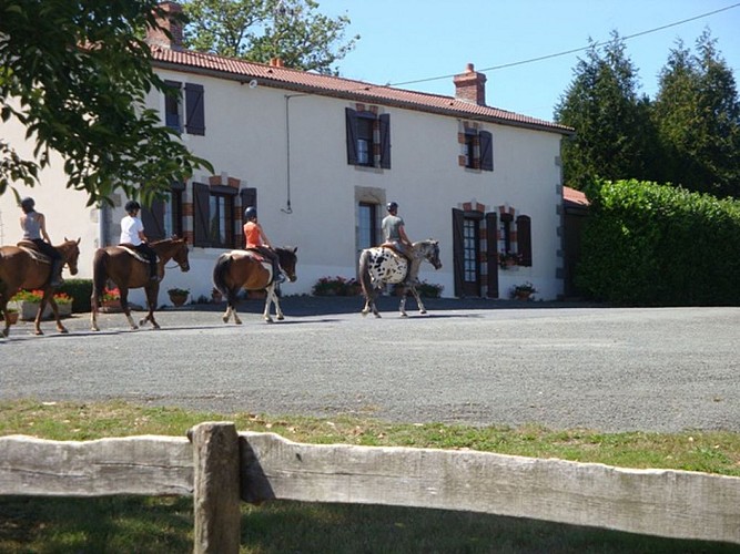 FERME ÉQUESTRE DE L'ÉTANG