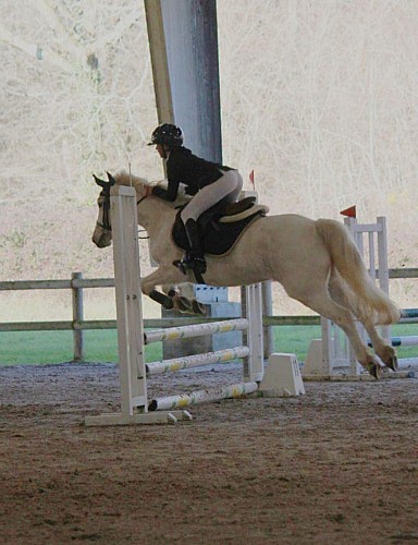 488588288_1612742109669799_5009335450865126458_n.jpg_1