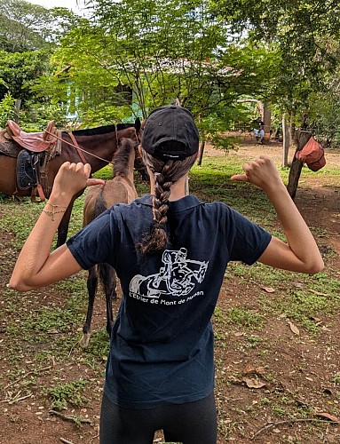 518307626_1697967791147230_8604734574491526274_n.jpg_4