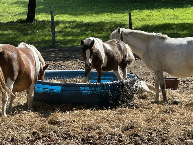 550552688_1751905505753458_7712517558324407685_n.jpg_5