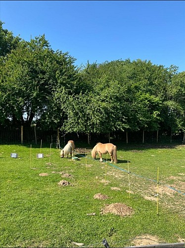 Activités enfant - Club brin d'herbes à La Ferme pédagogique de la Jarrie