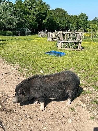 Activités enfant - Club brin d'herbes à La Ferme pédagogique de la Jarrie