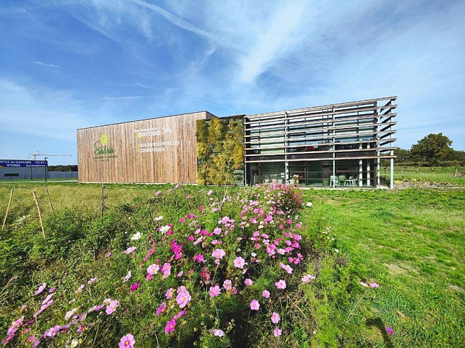 Atelier Créativ'Aroma Adulte by Salvia