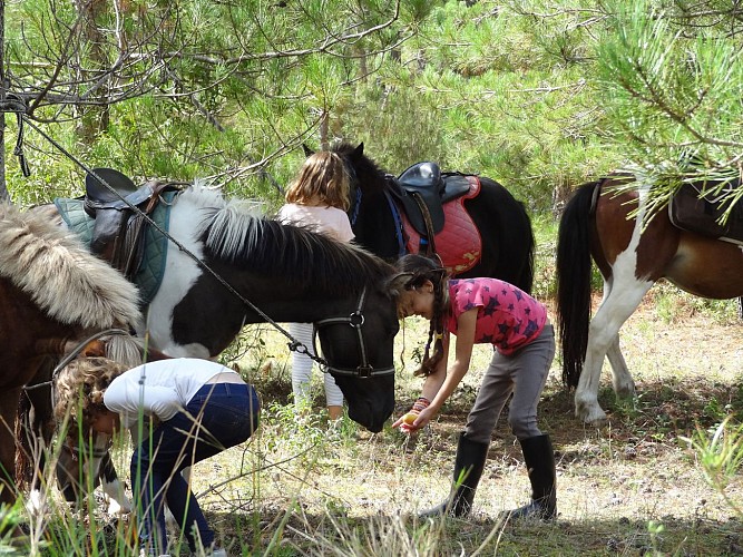 La Chevauchée des Dunes