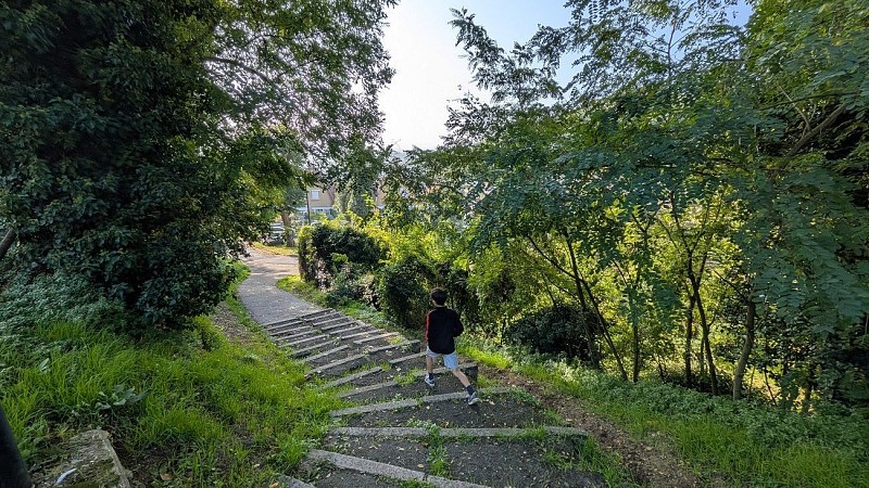 Vers l'Allée des Tilleuls