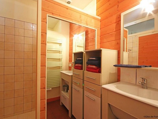 La Hulotte et Grand Duc