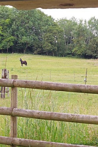 Haras Sainte-Eugénie