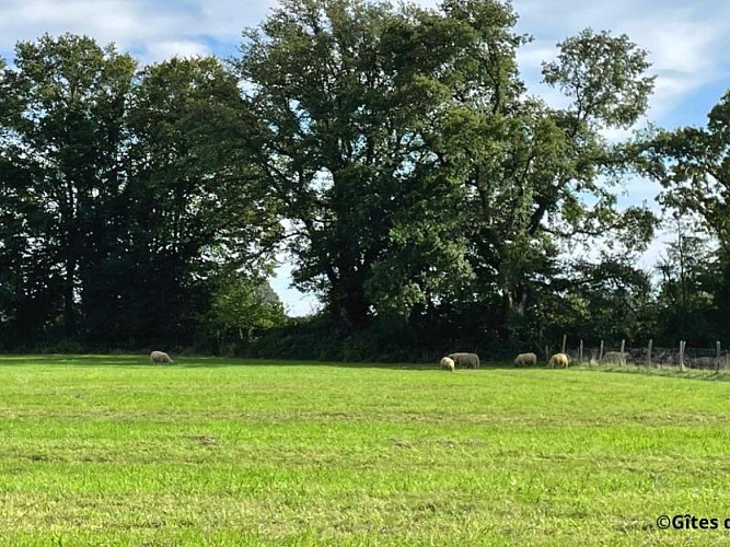 Maison du garde - St Laurent