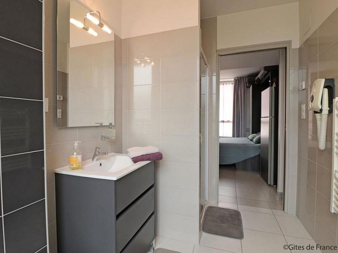 Gîte Lodges Spa du Mont Brûlé - Lilas