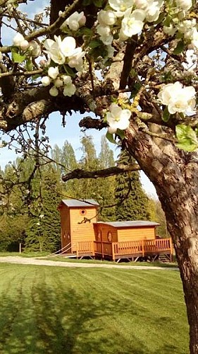 Gîte Le chalet Tchanqué d'Ecouves