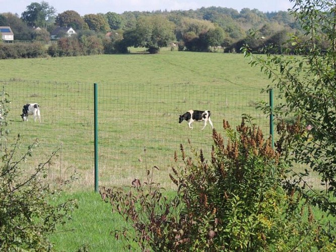 Gîte Chalet du Perche N°11
