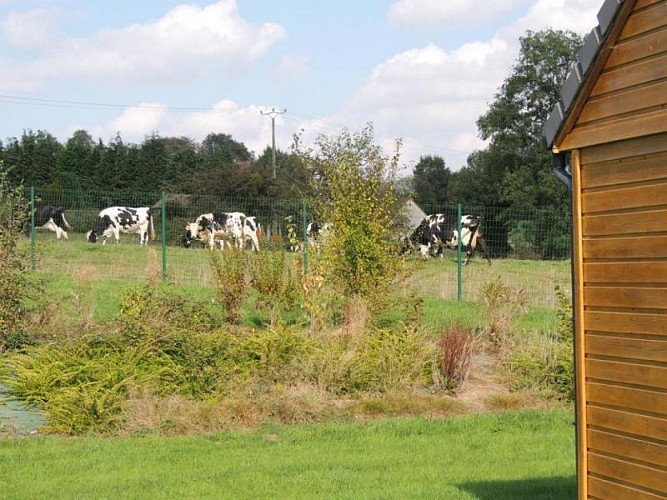 Gîte Chalet du Perche N°11