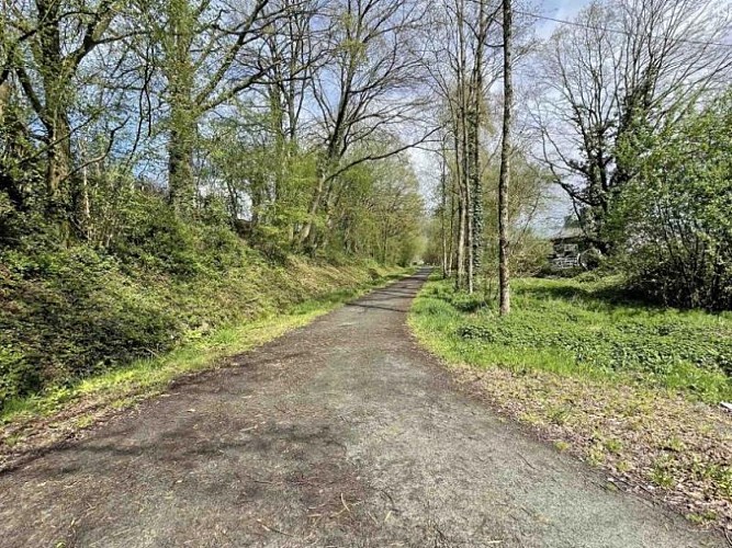 Gîte Le Montsifrotte