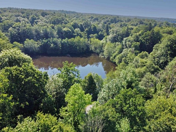 Gîte Au Chalet de Papy