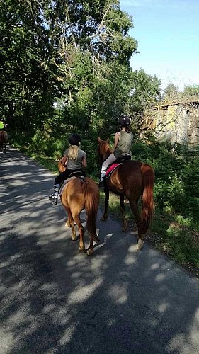 PONEY CLUB DE LA VIE