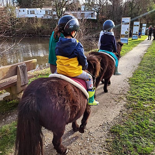 PONEY CLUB DE LA VIE