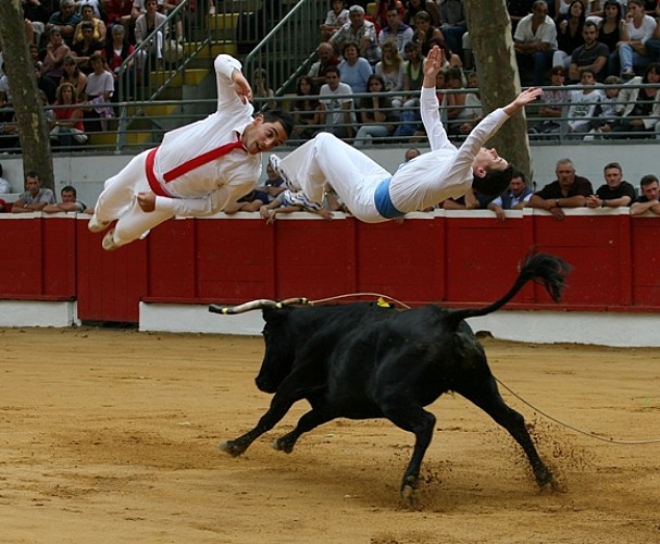 sauteurs_VieuxBoucau_Landesatlantiquesud