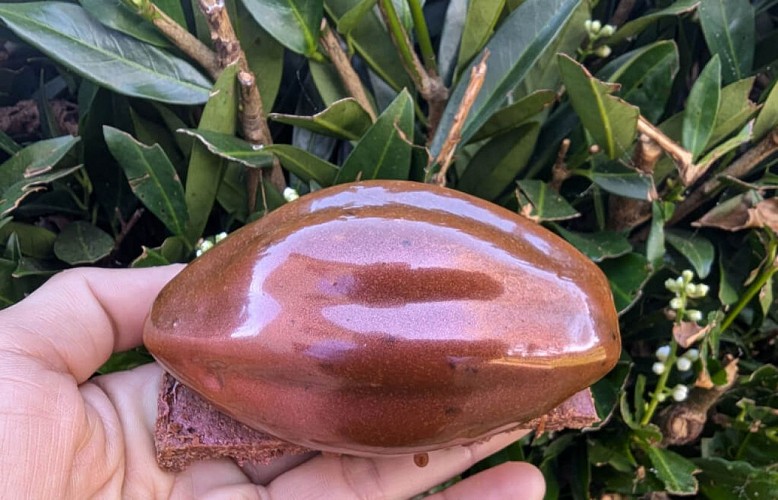 Papilles - Trompe l'oeil