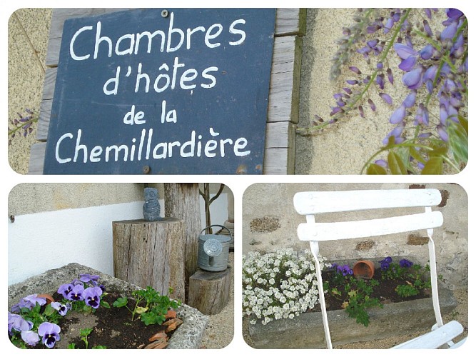 CHAMBRE D'HÔTES LA CHEMILLARDIÈRE - PRIMEVÈRE