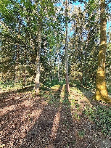 Bois du gîte