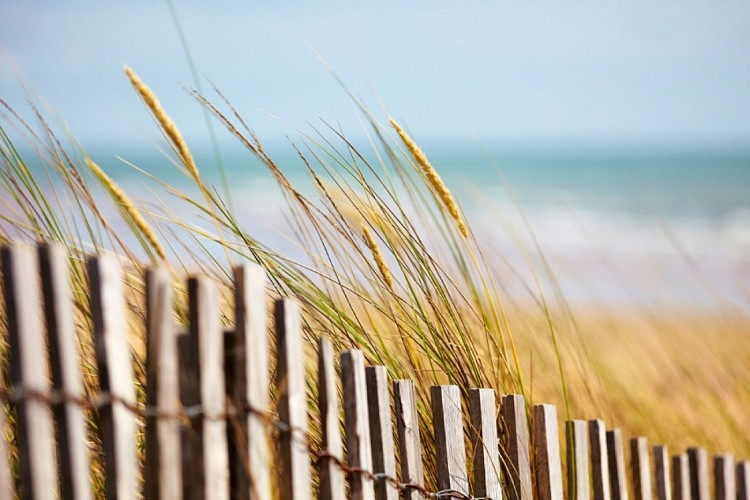 Aire privée - L'Écrin Nomade