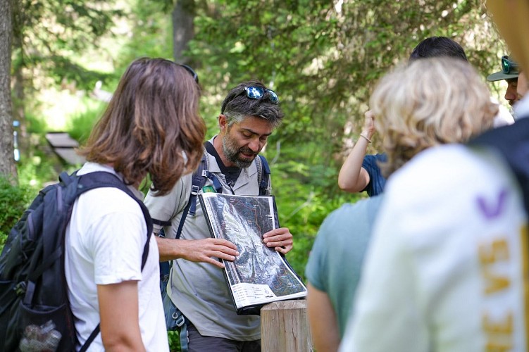 Visite guidée du sentier des Arpelières - animaux des tourbières