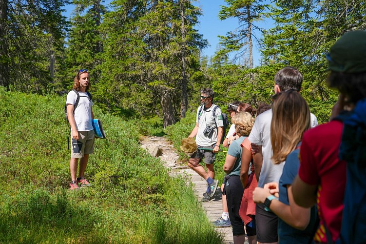 Visite guidée du sentier des Arpelières - animaux des tourbières