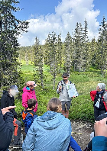 Visite guidée du sentier des Arpelières - animaux des tourbières