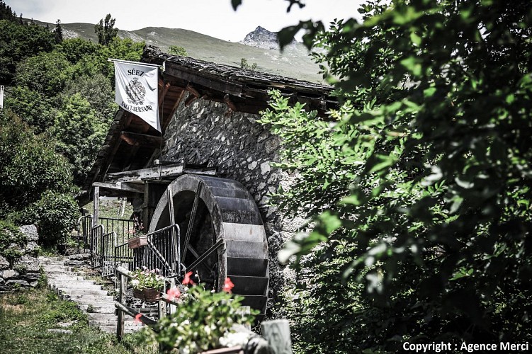 Moulin de Saint-Germain