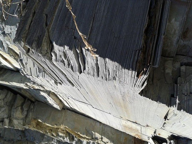 Les marnes calcaires