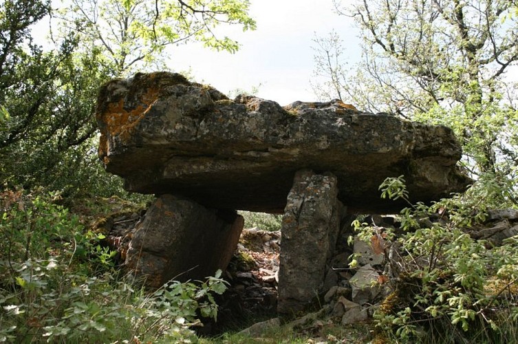 Dolmen de la Baraque