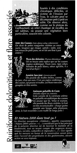 Ruiniformes dolomitiques et flore associée