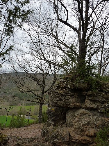 Le chemin des terres rouges