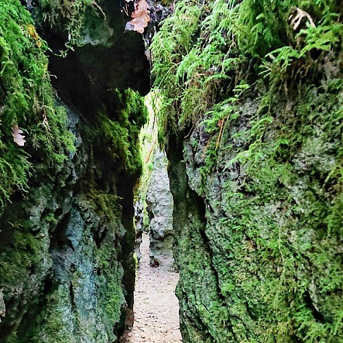 L'étroitesse des parois de la canole