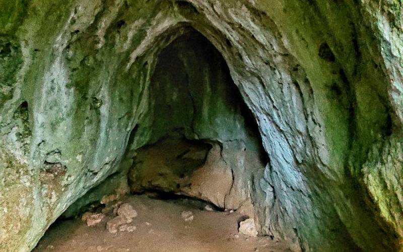 L'intérieur de l'abri