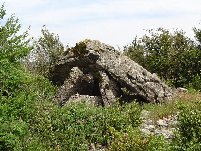 Dolmen Mascourbe 1