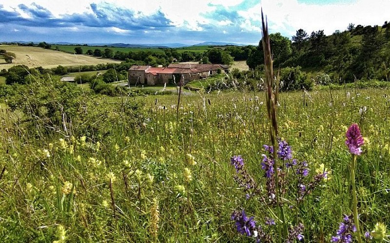 Au dessus de La Borie